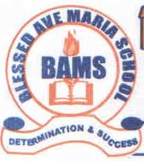 BLESSED AVE MARIA SCHOOL, Alimosho