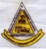 MOSAFEJO PRIMARY SCHOOL, Oworonsoki