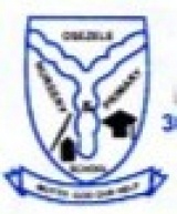 OSEZELE NUR/PRY SCHOOL, Mushin