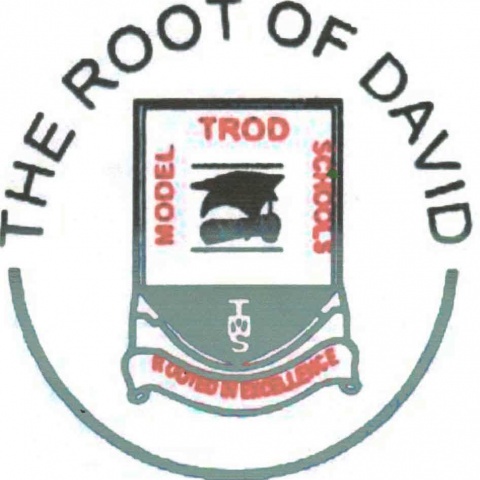 THE ROOT OF DAVID TROD COLLEGE, Ijanikin